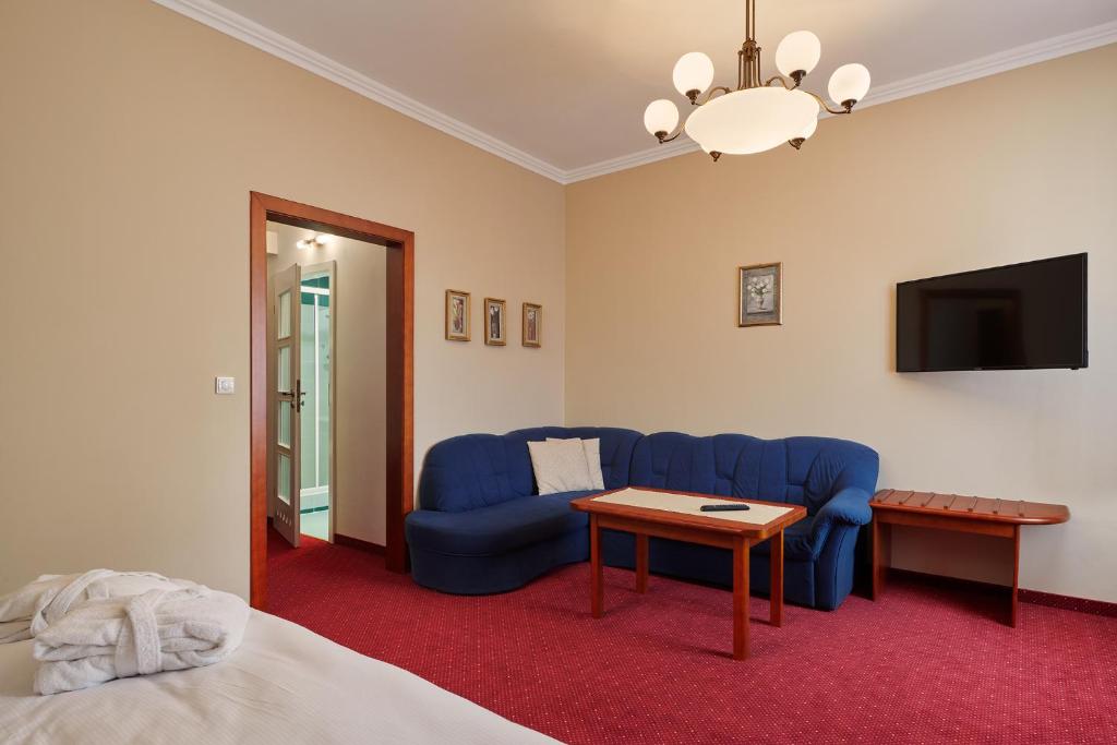TV a/nebo společenská místnost v ubytování Wellness Hotel Lužan