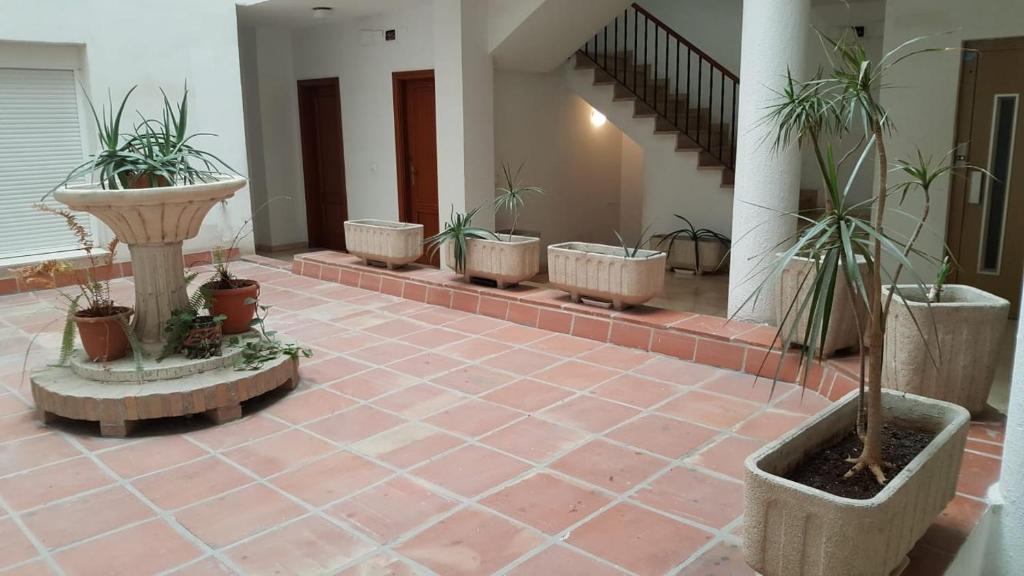 Fotografie z fotogalerie ubytování Apartamento AGP Centro Histórico v Malaze