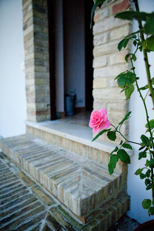 Fotografie z fotogalerie ubytování Casa dell'Orto v destinaci San Vito Chietino