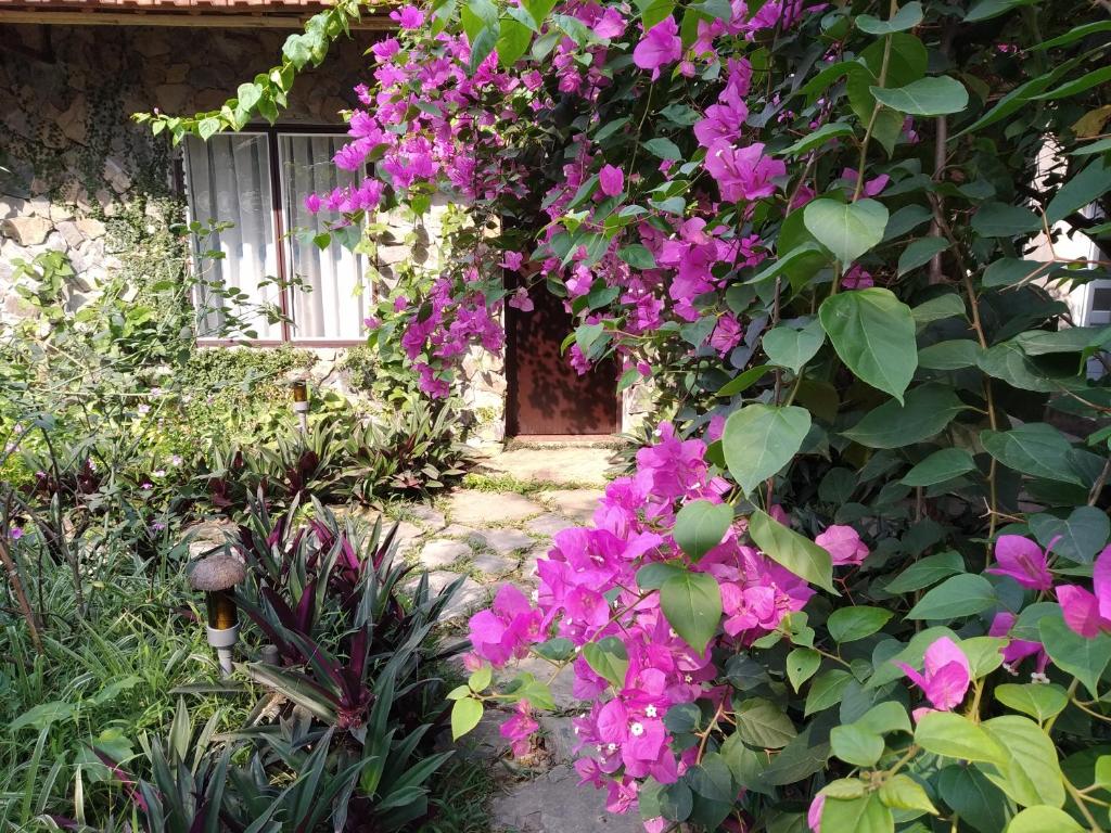 Mr. Viet home stay - 8