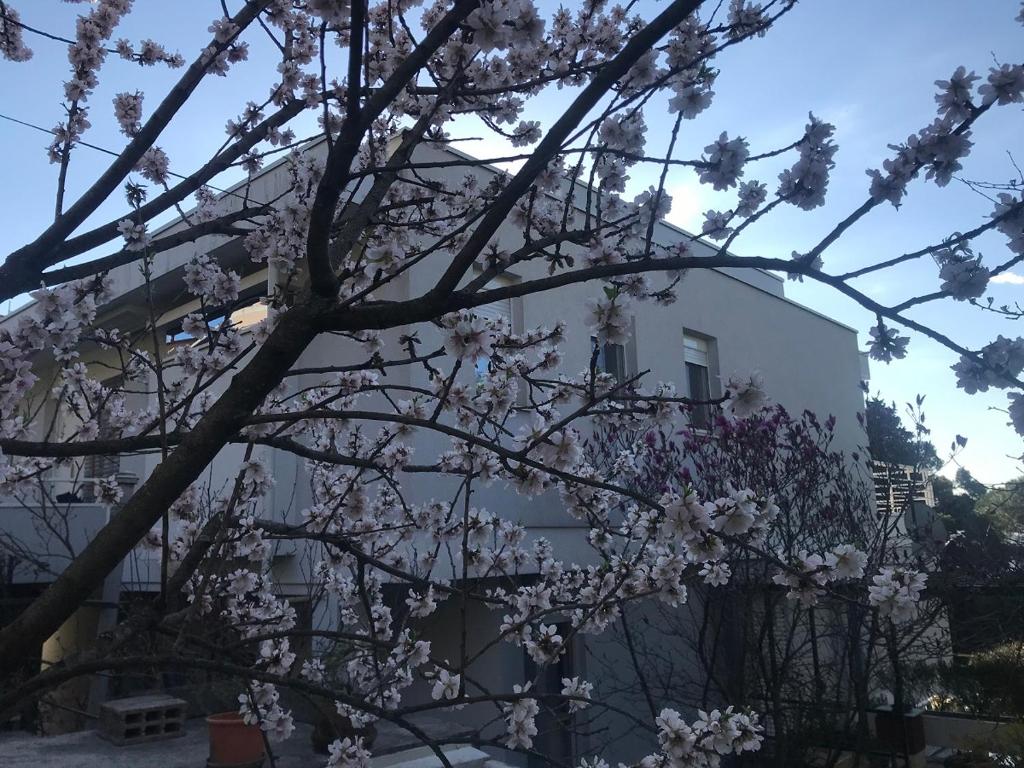 Príroda v okolí apartmánu