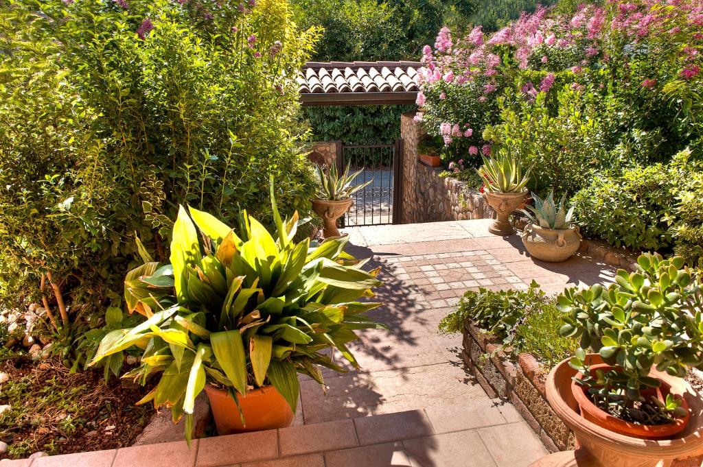 Zahrada ubytování B&B Villa Gloriana