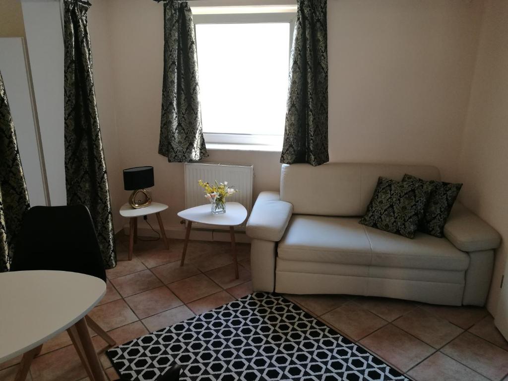 Elbhangzimmer Dresden - 5