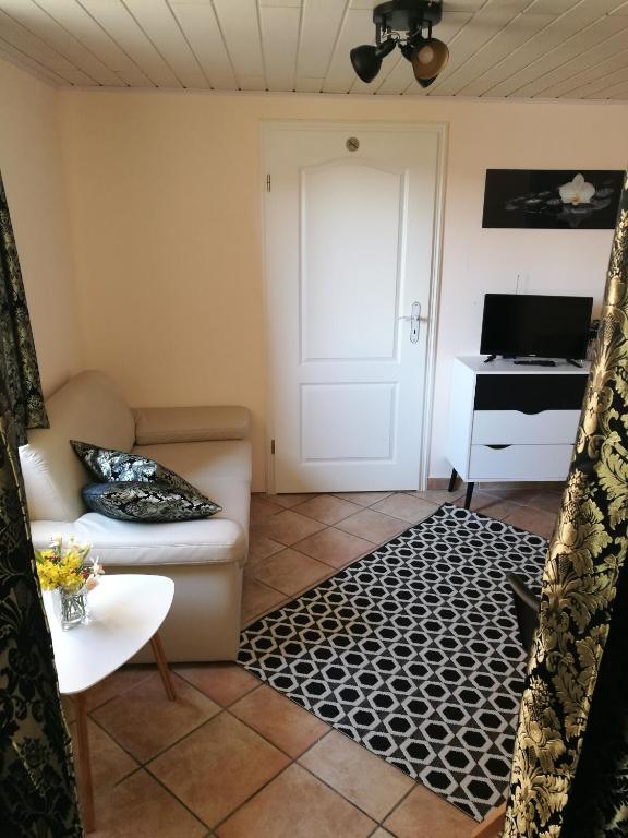 Elbhangzimmer Dresden - 3