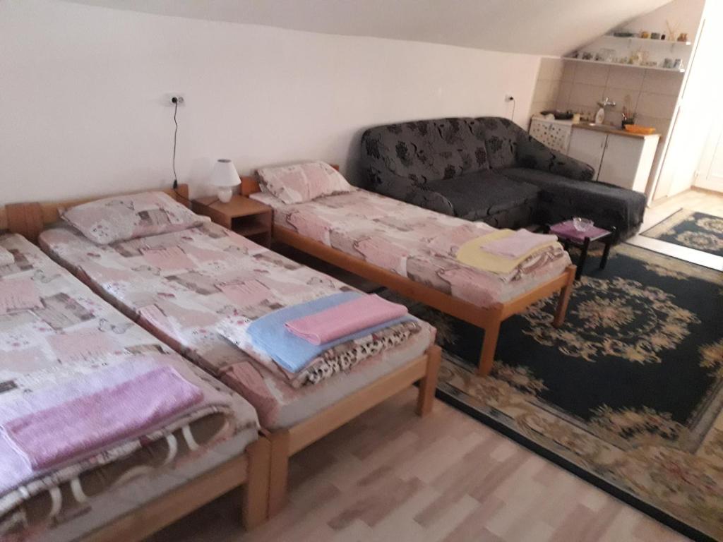 Guest House Vila Banjica - Chambre Quadruple Avec Salle De Bains