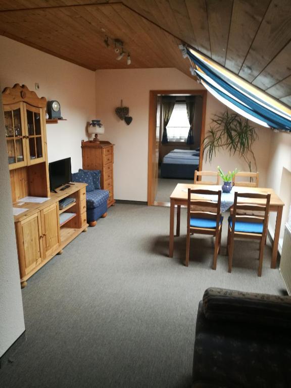 TV a/nebo společenská místnost v ubytování Elbhangzimmer Dresden