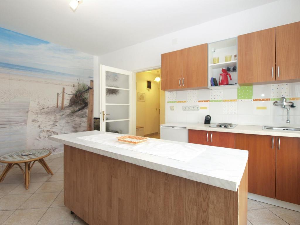 Kuchnia lub aneks kuchenny w obiekcie Apartment Suzana 1849