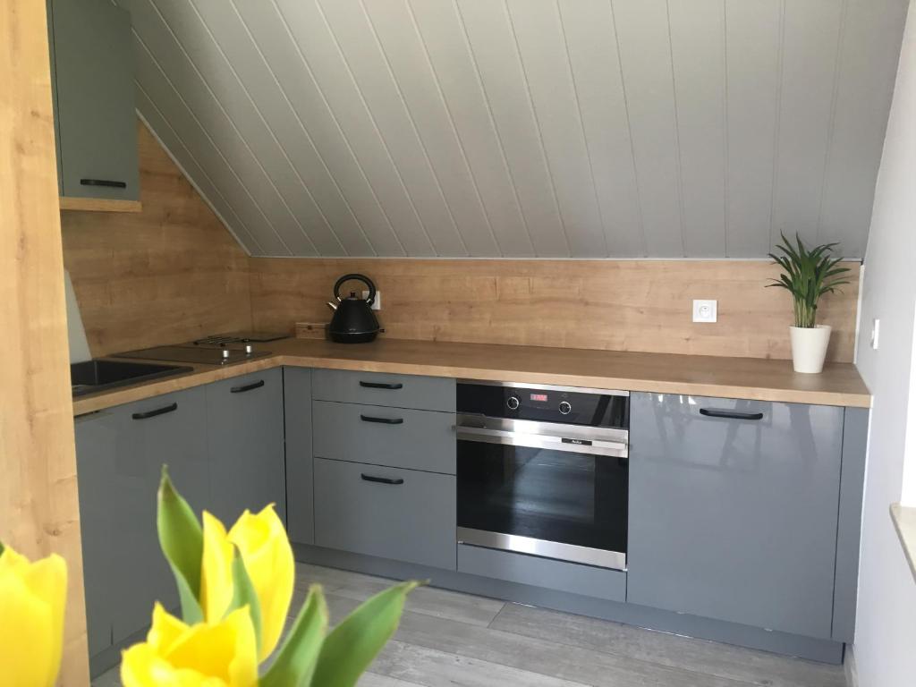 Apartamenty Gajówka- rowery, plac zabaw, sauna, jacuzzi - 9