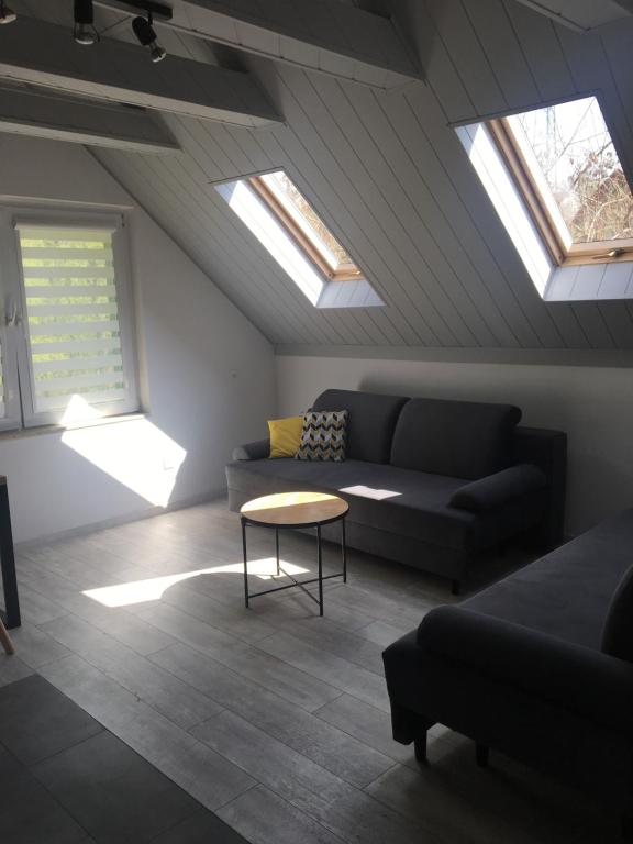 Apartamenty Gajówka- rowery, plac zabaw, sauna, jacuzzi - 12