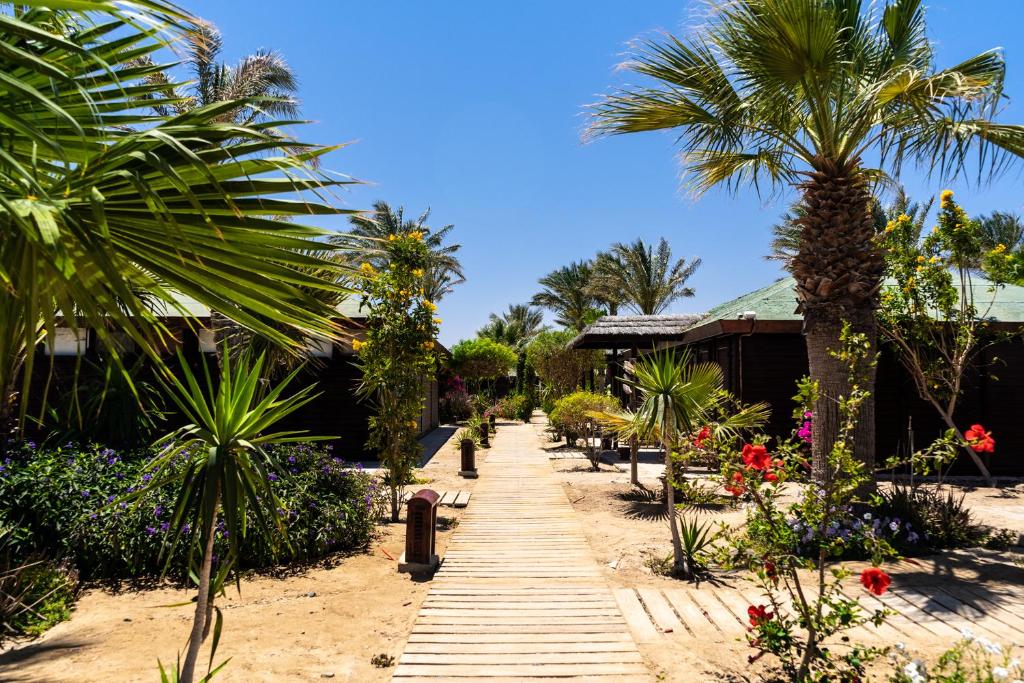Zahrada ubytování Abu Dabbab Lodge
