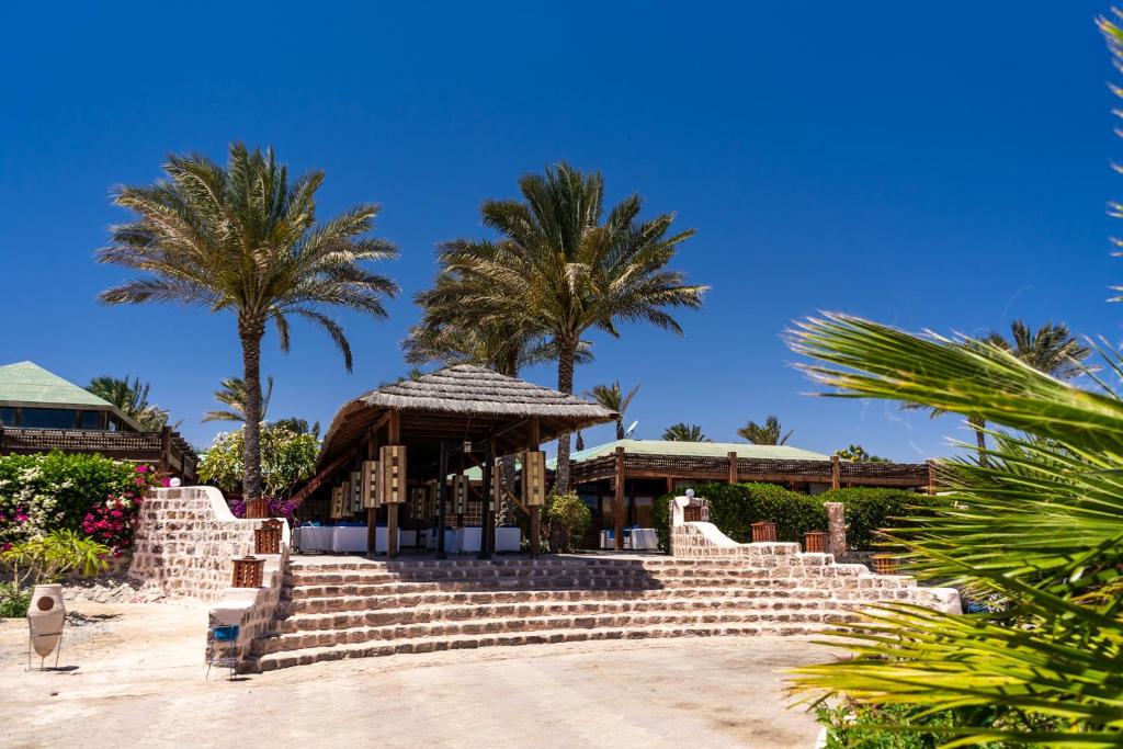 Zahrada ubytování Abu Dabbab Lodge