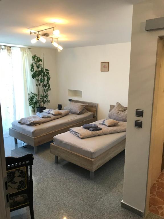 a bedroom with two beds in a room at Apartment Ereiz in Hermagor