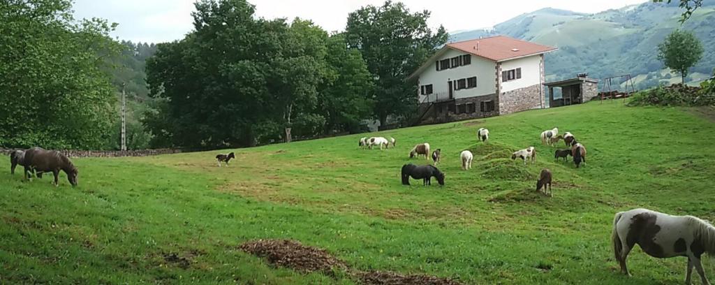 Zvířata v venkovského domu nebo okolí