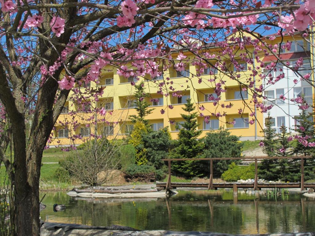 a yellow building with pink flowering trees in front of a lake at Wellness & Spa Relax Frymburk in Frymburk