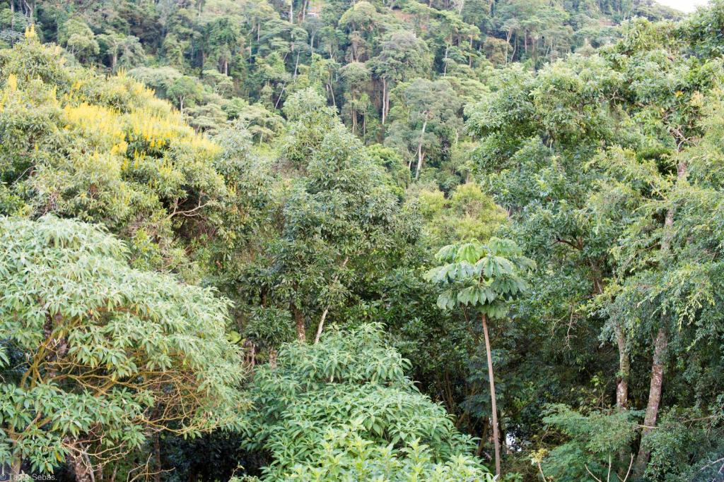  Suíte privada no meio da natureza serrana.