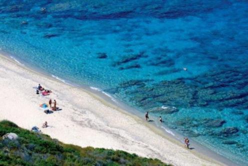 un grupo de personas en una playa cerca del agua en Résidence EMILIA, en Santa-Maria-Poggio