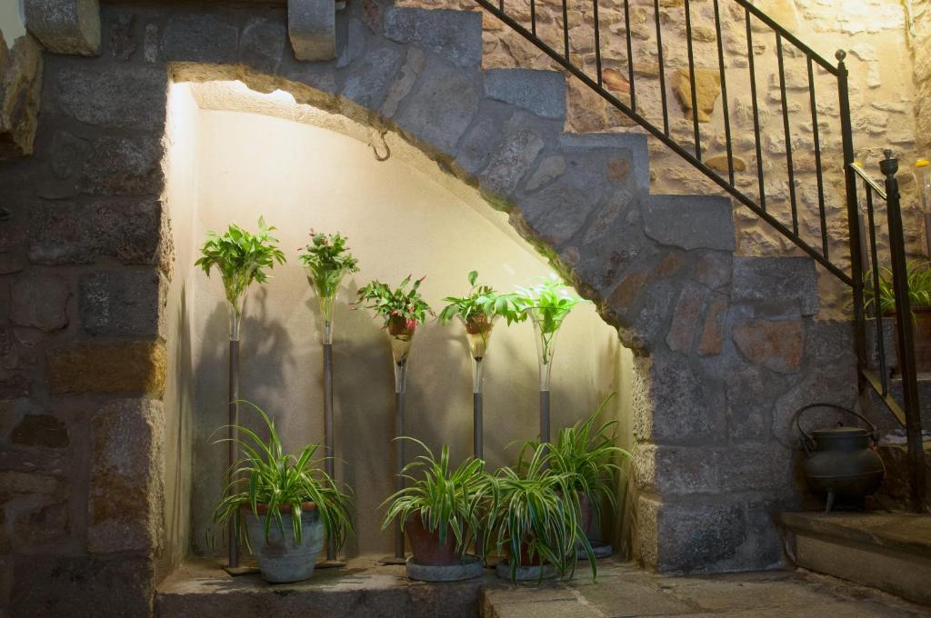 Fotografie z fotogalerie ubytování Pensió Bellmirall v destinaci Girona
