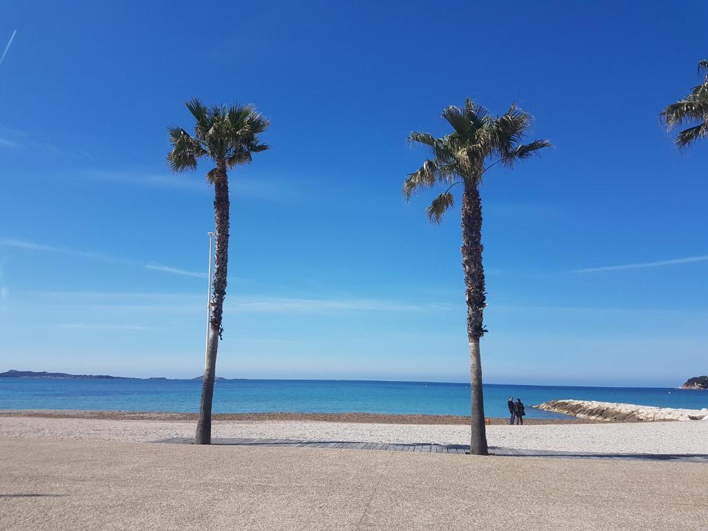 deux palmiers sur une plage près de l&#39;océan dans l&#39;établissement Résidence les rivages de la coudouliere, à Six-Fours-les-Plages