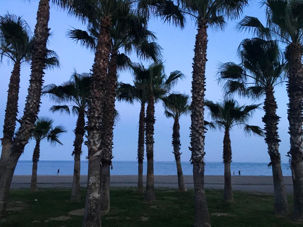 Villa Borja, Torre del Mar – Bijgewerkte prijzen 2022