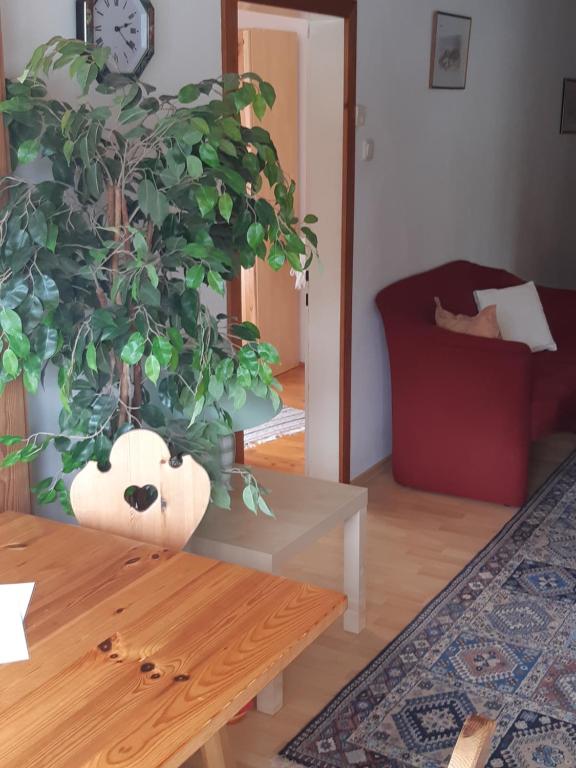 a plant sitting on a table in a living room at Appartements direkt am See in Grundlsee