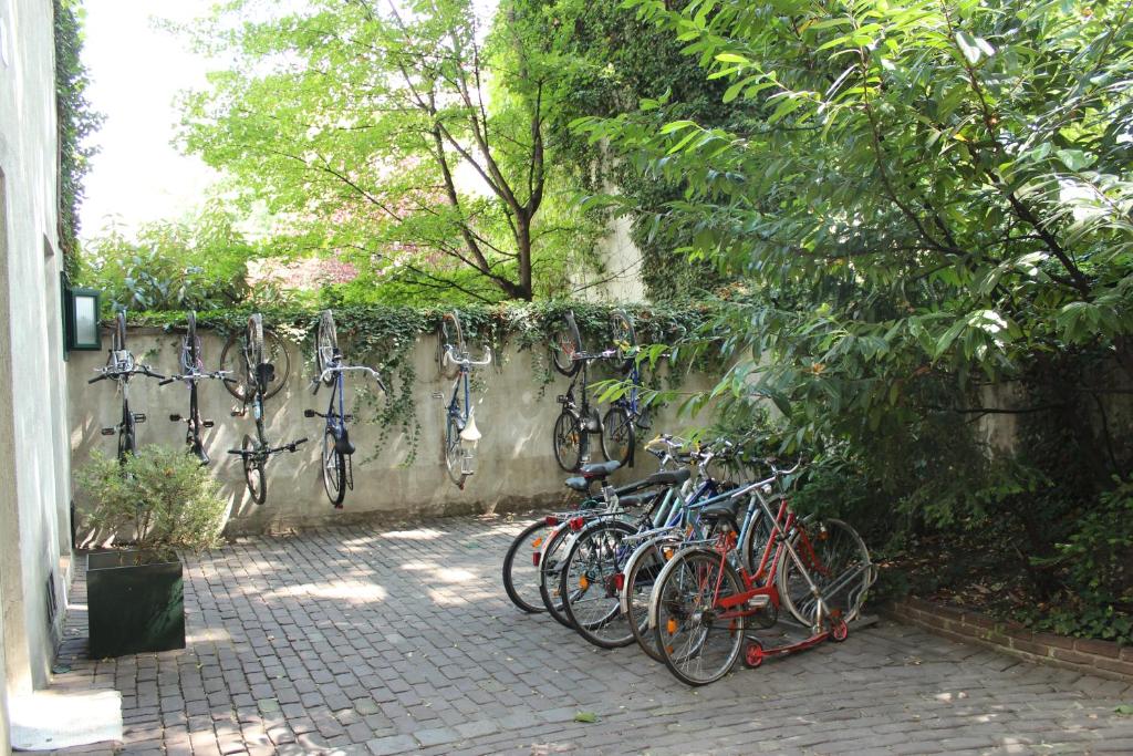Jízda na kole v ubytování Porzellaneum nebo okolí