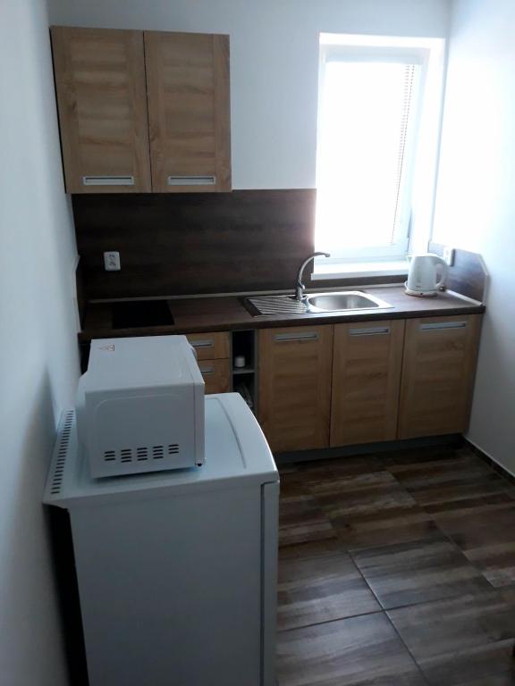 Kuchyň nebo kuchyňský kout v ubytování Apartmán u Davida