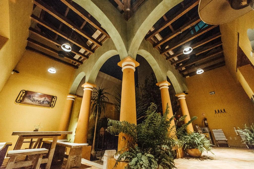 a lobby with columns and plants in a building at Snail Bed & Breakfast in San Cristóbal de Las Casas