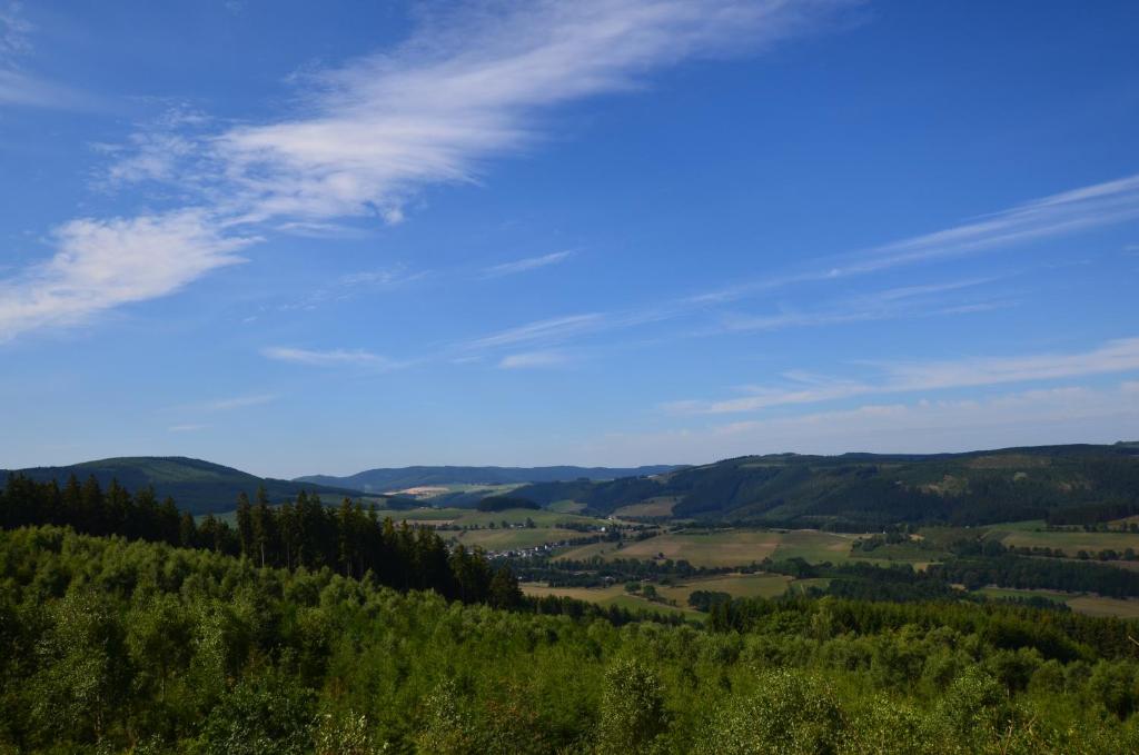 Příroda nedaleko apartmánu