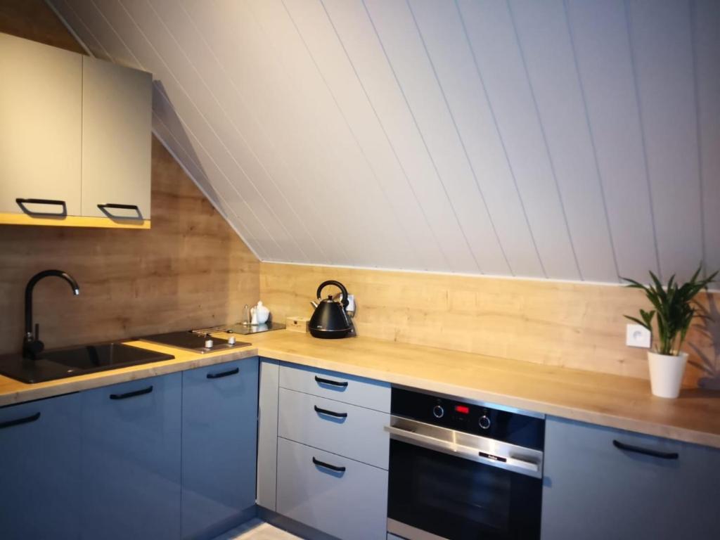 Apartamenty Gajówka- rowery, plac zabaw, sauna, jacuzzi - 5