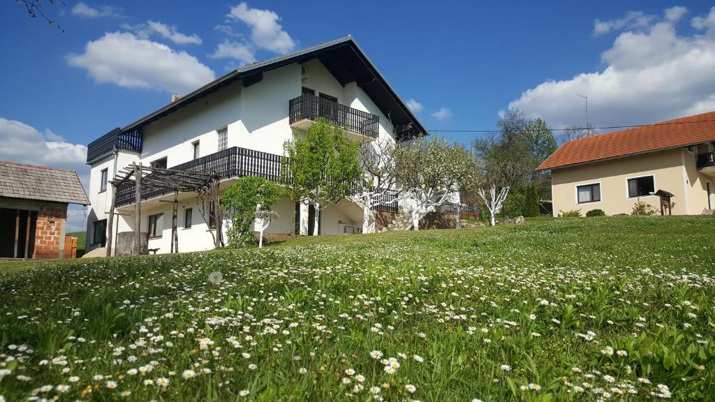 una casa con un campo de flores delante de ella en Apartment Silvia, en Slunj