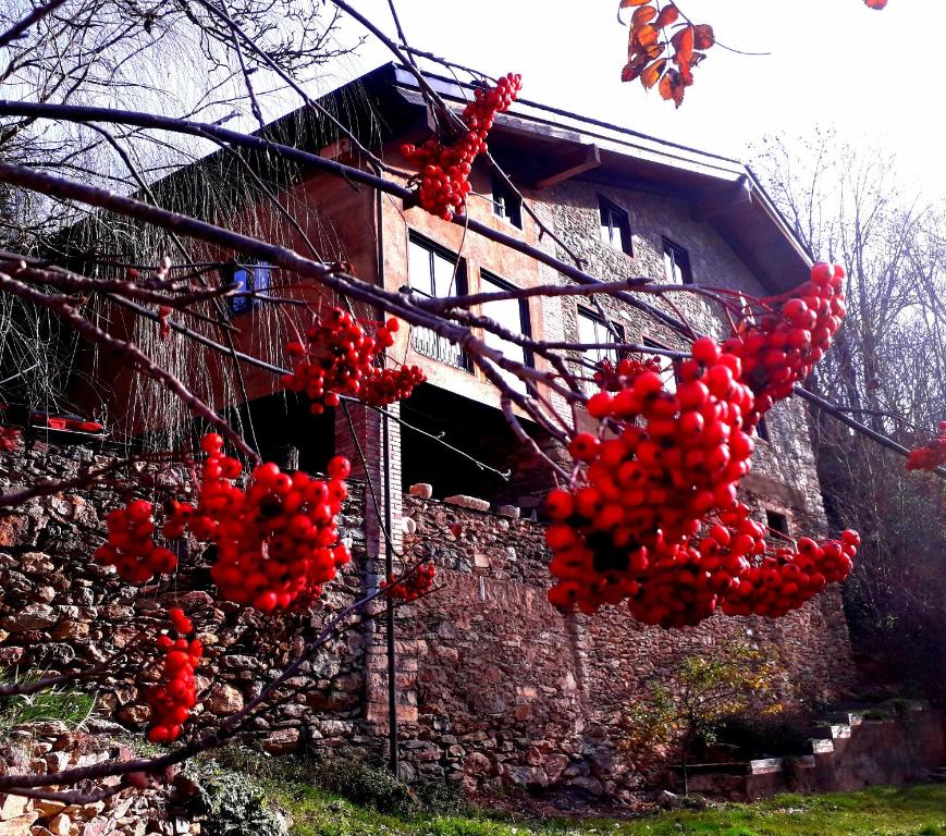 Budova, v ktorej sa dom na vidieku nachádza