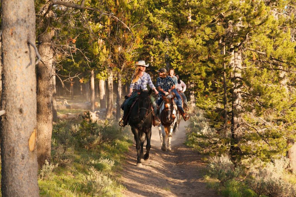 Headwaters Lodge Cabins At Flagg Ranch Moran Updated 2021 Prices