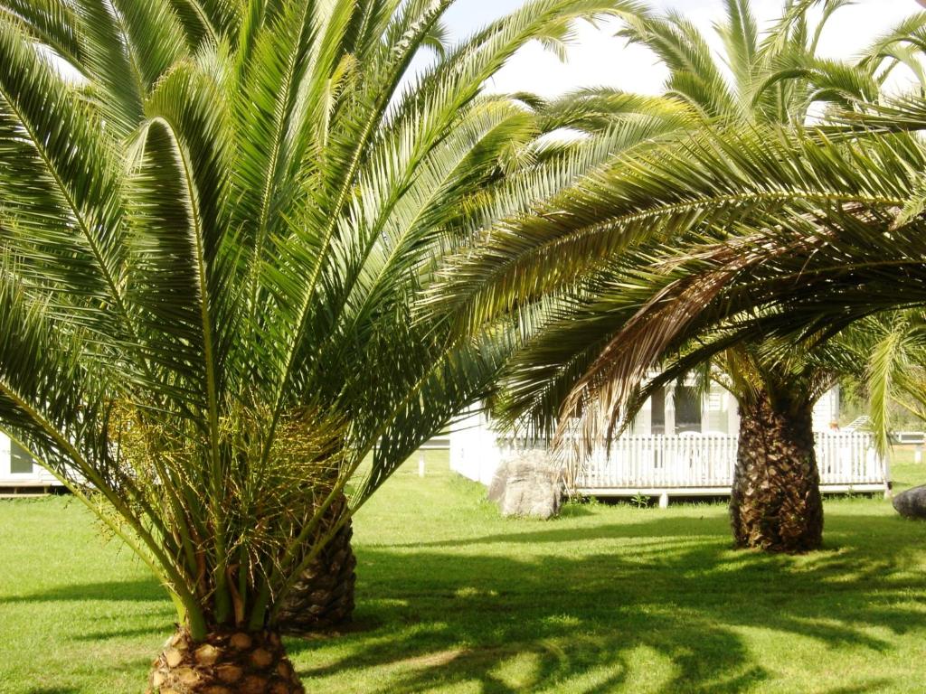 Le Banana's Hotel - 18