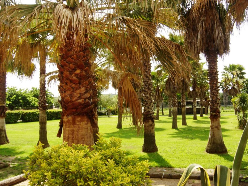 Le Banana's Hotel - 19