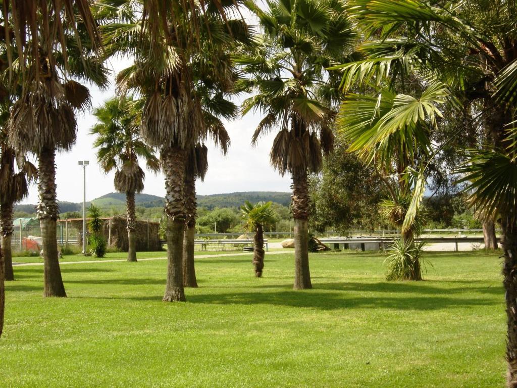 Le Banana's Hotel - 14