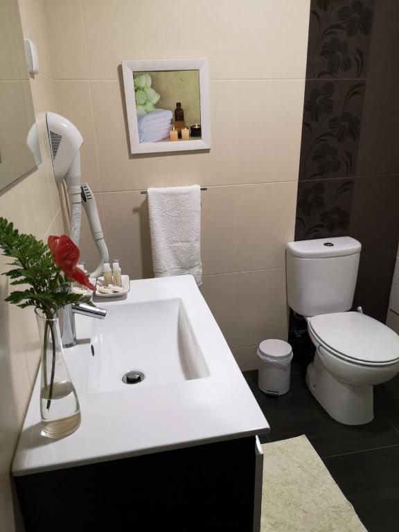 Quinta do Bom Sucesso - 8