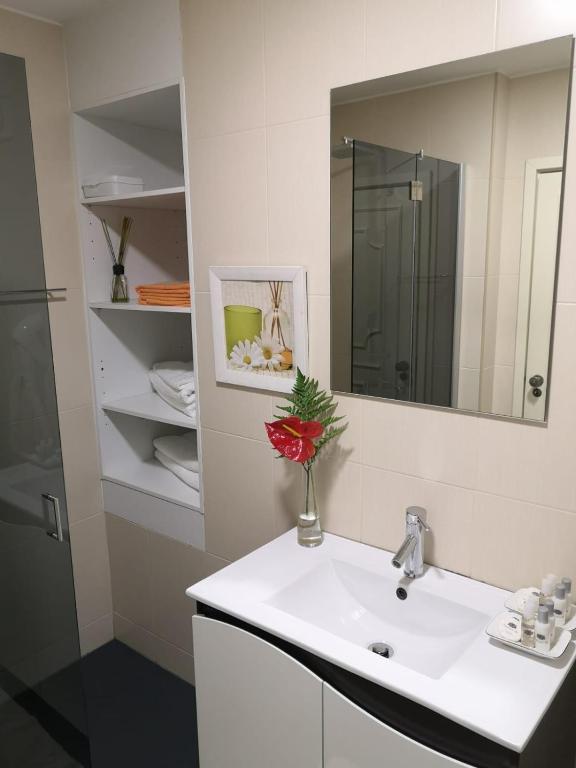 Quinta do Bom Sucesso - 7