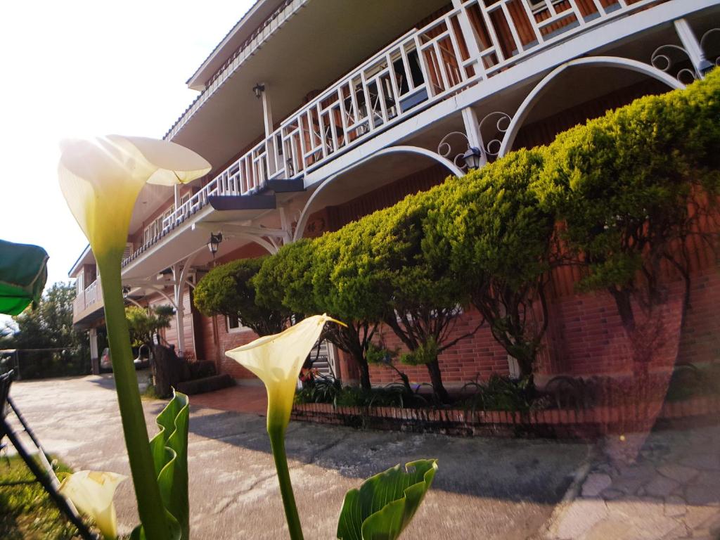 Zahrada ubytování Shan Shui-Yuan Vege Guest House