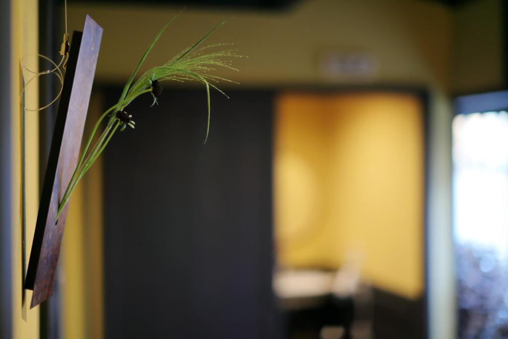 Fotografie z fotogalerie ubytování Ryokan Tanoya v Kjótu