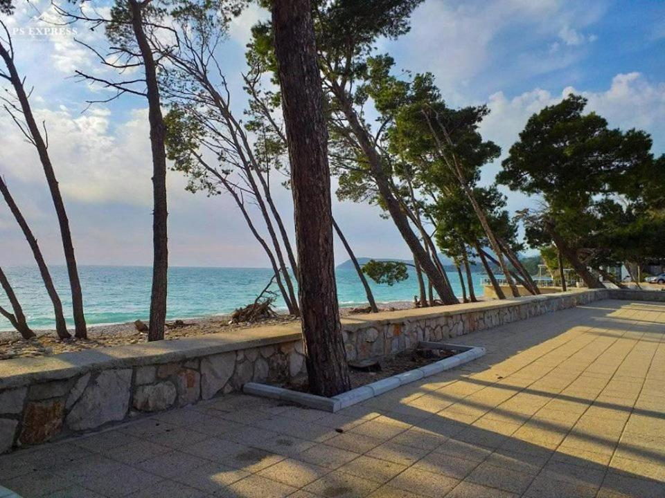 バールにあるJUKIC APARTMANIの木々と海の浜辺の歩道