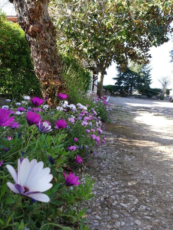 A garden outside Casa Noemi