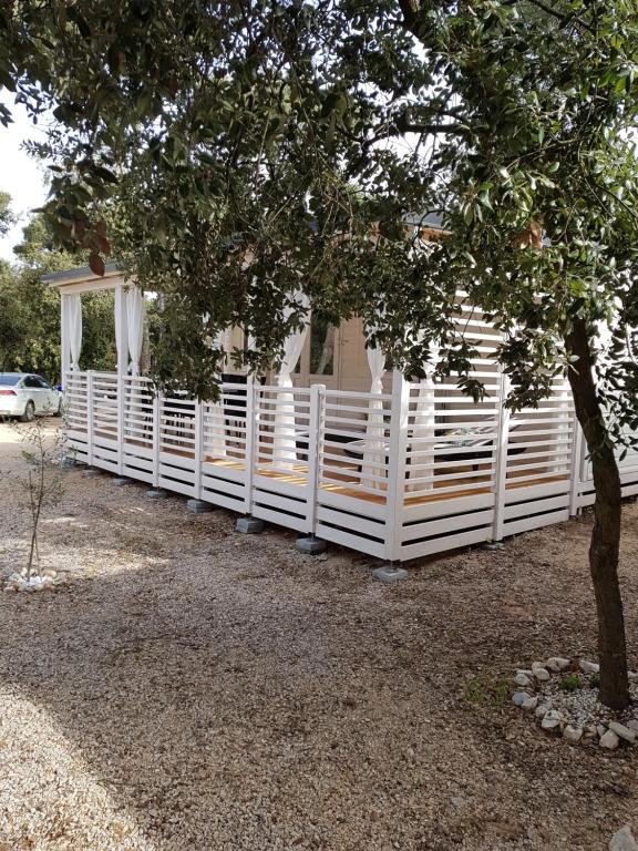 Fotografie z fotogalerie ubytování Summertime by Pearl of the Biograd v destinaci Biograd na Moru