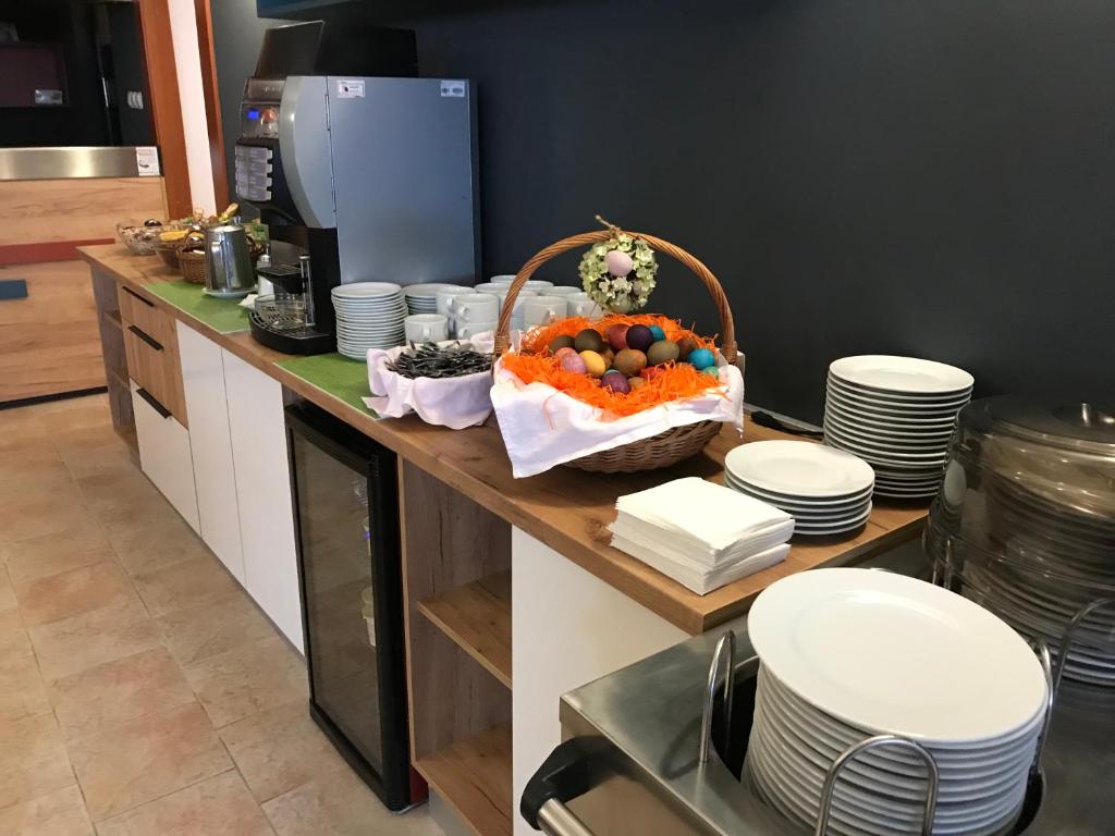 Kuchyň nebo kuchyňský kout v ubytování Hotel Omorika
