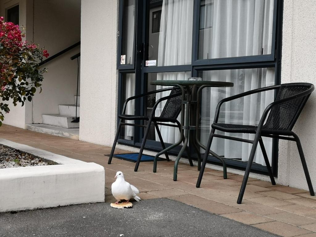 Balkón nebo terasa v ubytování Annabelle Court Motel