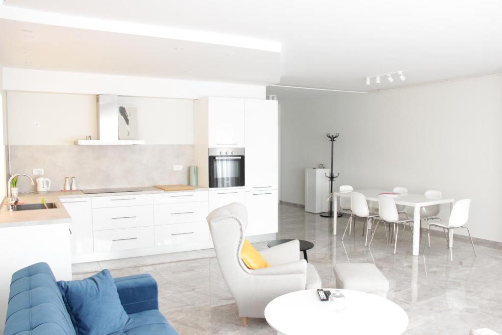 Kuchyň nebo kuchyňský kout v ubytování Lux House Olga