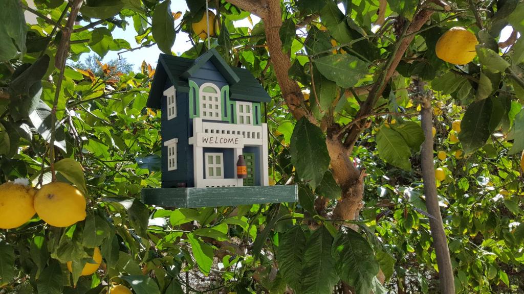 a bird house hanging in a tree at Casa Vacanze DaRena in Tortoreto Lido