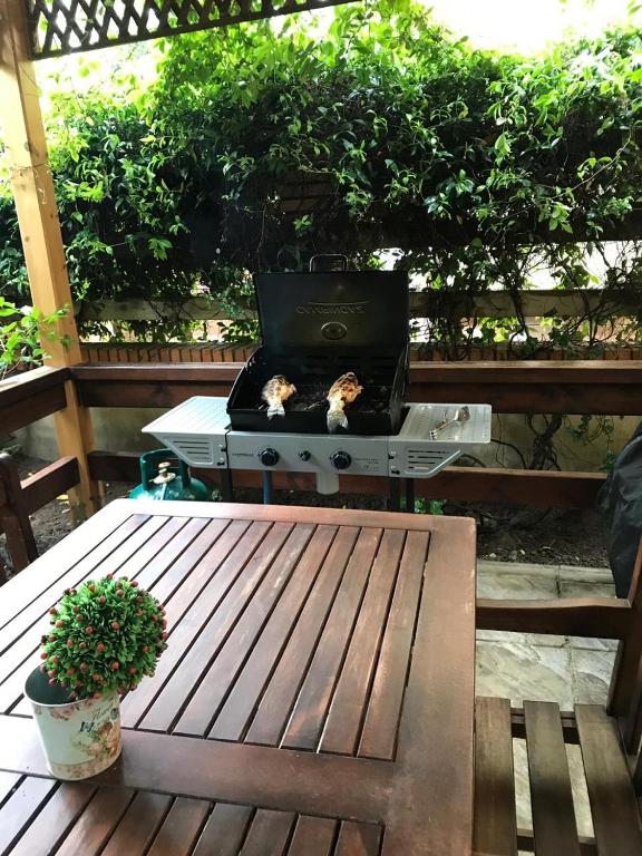 Zahrada ubytování Pine-Tree Apt w/ Private Garden 50 m from the Sea