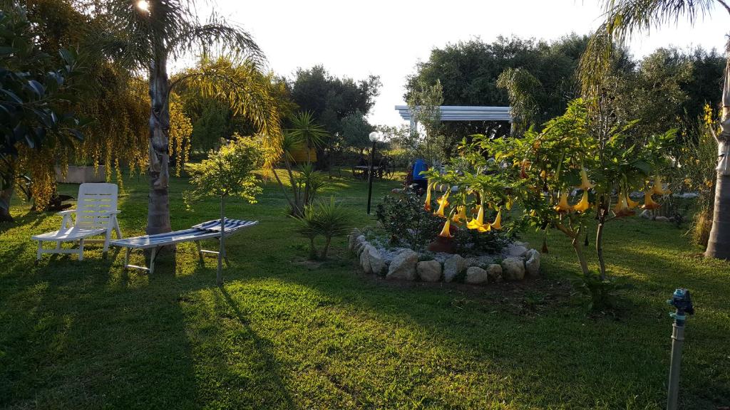 a park with a bench and a tree and some trees at agriturismo heaven in Capo Vaticano
