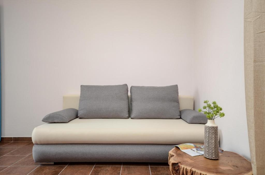 Asterias Studios - 9