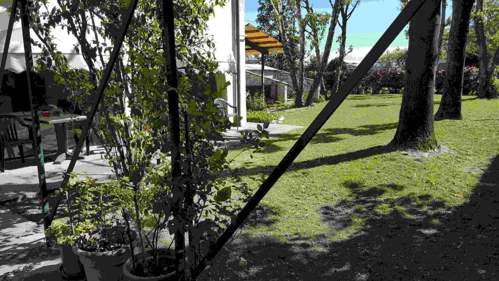 Torrile